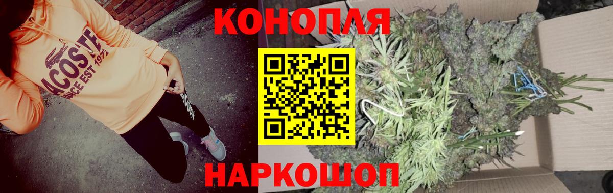 Бошки Шишки конопля  Вход с VPN  Шишки марихуана SATIVA & INDICA  Берёзовский 